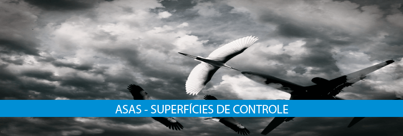 Asas - Superfícies de Controle